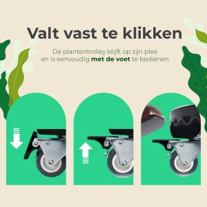 Sunny Tree Plantentrolley - Draagkracht tot 300 KG - 360 Graden Draaibare Wielen - Ø 30-50 Centimeter