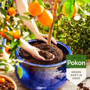Pokon Bio Mediterrane potgrond