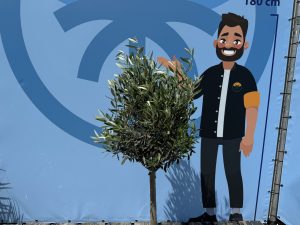 Olijfboom - Olea Europaea - 130 cm - Gladde stam